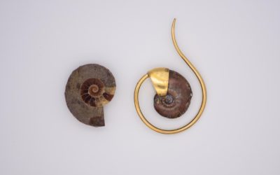 Piercing Healing Times