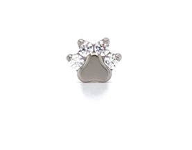 Paw Print